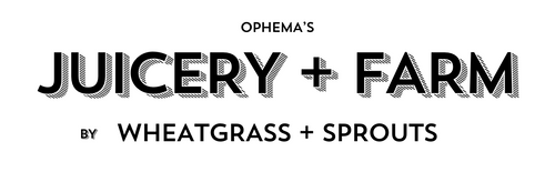 Wheatgrass + Sprouts